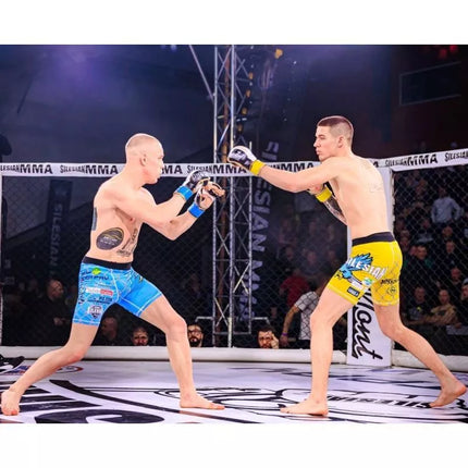 MMAsparring gloves S/M - Undefeated - Valor Series