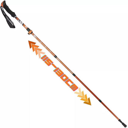 NORDIC WALKING TRIP POLES IN ENERO PRO CASE