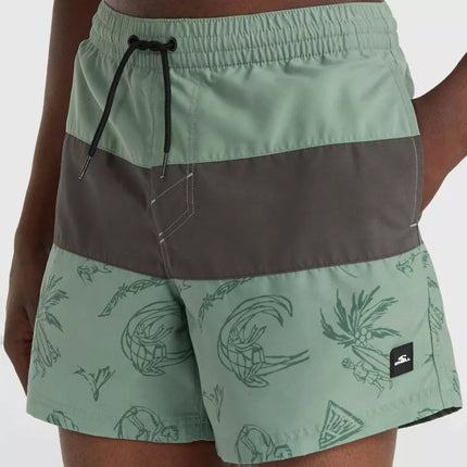 O'Neill Mix&Match Cali Block maudymosi šortai 15'' M 92800613820