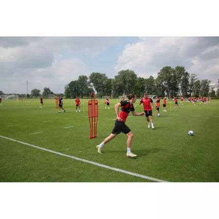 Futbolo sienelė PRO 180 cm - NAILONAS