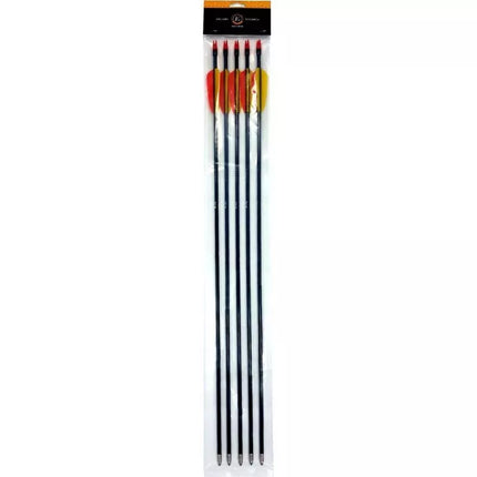 Poe Lang 28" Stiklo Pluošto Strėlės - 5 Vnt. Rinkinys (D-055-B3)
