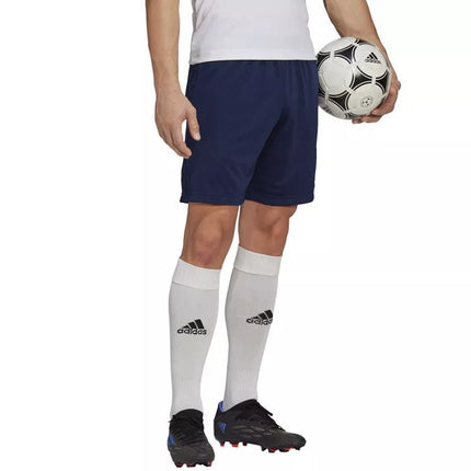 Adidas Entrada 22 treniruočių šortai M H57488