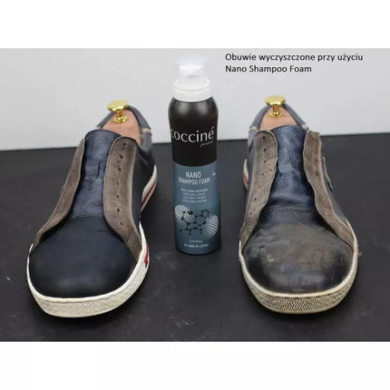 Coccine DA0277 Odos ir Tekstilės Valymo Putos