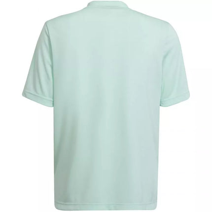 adidas Entrada 22 Graphic Jersey Jr HF0127