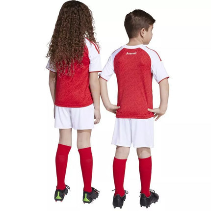 Adidas Arsenal FC namų komplektas JI9529
