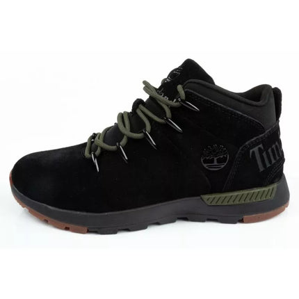 Timberland Lace Up M TB0A5PG6015 Žygio Batai