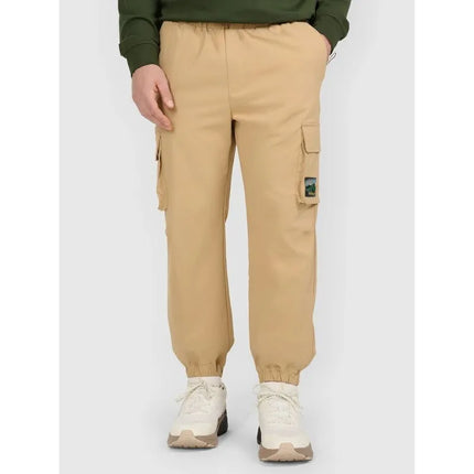 Men's casual cargo pants 4F 4FRAW25TTROM1690-83S