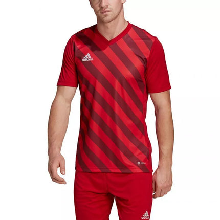 Adidas Entrada 22 grafiniai marškinėliai M HB0572