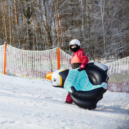 Sniego čiuožykla Pingvinas Meteoritas 16763