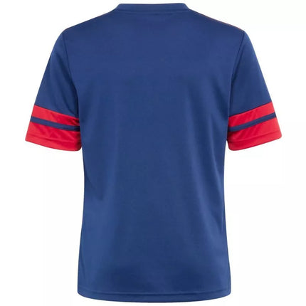 Adidas Squadra 25 Jr marškinėliai JJ2415