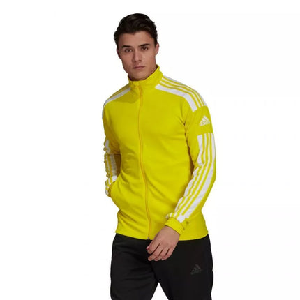 Adidas Squadra 21 Treniruočių M džemperis GP6465