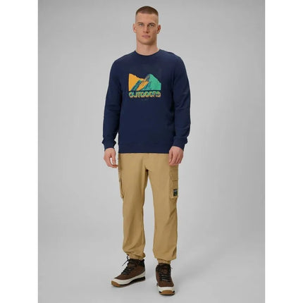 Longsleeve with print for men 4F 4FRAW25TLONM618-31S