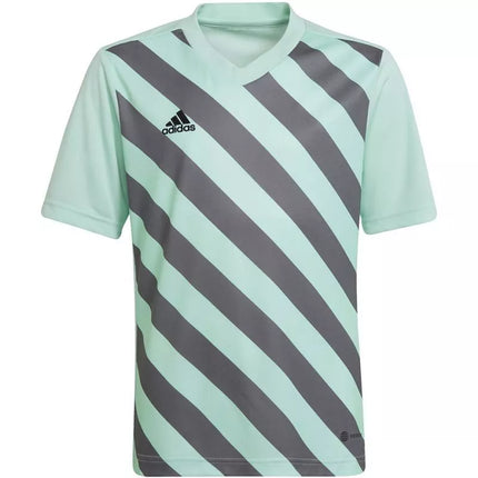 adidas Entrada 22 Graphic Jersey Jr HF0127
