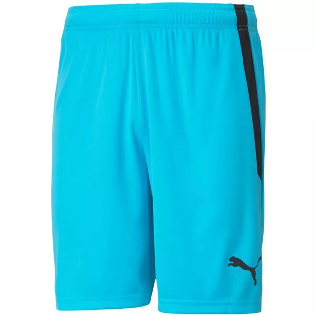 Puma teamLIGA M 704924 40 šortai