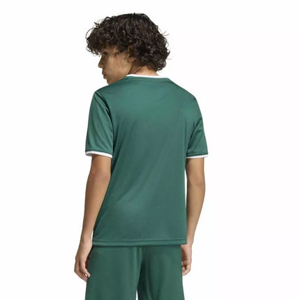 adidas Jaunimo marškinėliai Entrada 26 KE9834