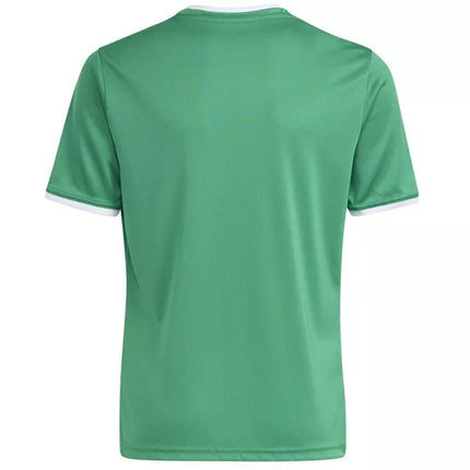 adidas Entrada 26 Jersey green JZ2528 kids' t-shirt