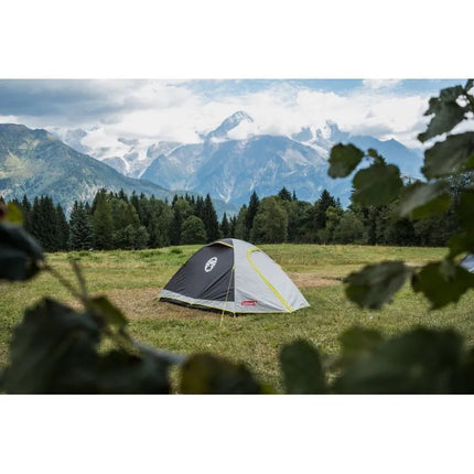 Coleman Darwin 2-Person Tent, Green and Gray Igloo