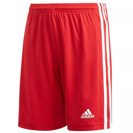 Adidas Squadra 21 Šortai Jaunimui Jr GN5761