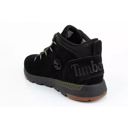 Timberland Lace Up M TB0A5PG6015 Žygio Batai