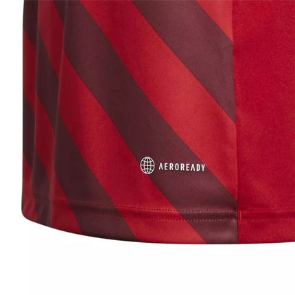 adidas Entrada 22 Grafinis Marškinėliai Jaunesniesiems H58983