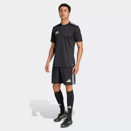 Campeon 25 marškinėliai M JF6062 Adidas