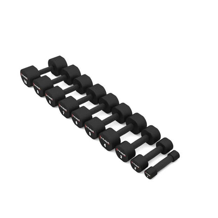 HPT10 2 x 10 KG POLYURETHANE TPU HMS Dumbbells