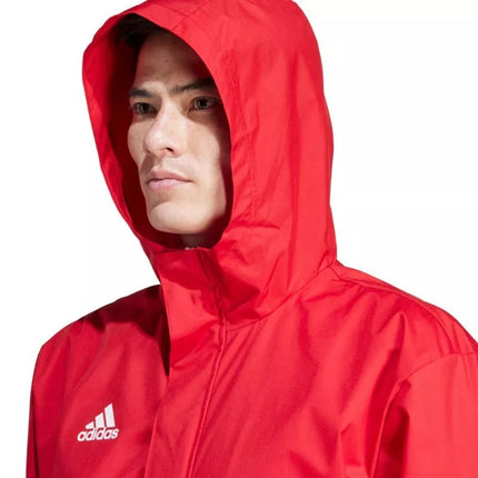 Adidas Entrada 22 Visiems Orams Striukė Vyrams IK4009