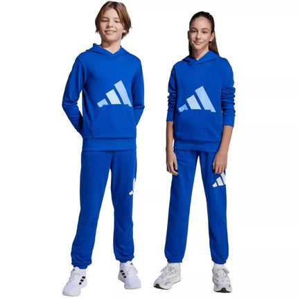 adidas Essentials 280 Mėlynos Vaikiškos Kelnės JV9916