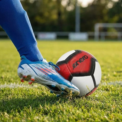 ENERO MINI FUTBOLO KAMUOLYS 12 PANELIŲ R.1