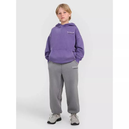 Boys' jogger sweatpants 4F 4FJRAW25TTROM1528-24S