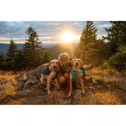 Ruffwear Front Range Day Pack šuns kuprinė - Mėlynojo mėnulio Dydis: XS