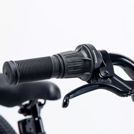 Martes Essentials Ninja 20 vaikiškas dviratis 92800597994