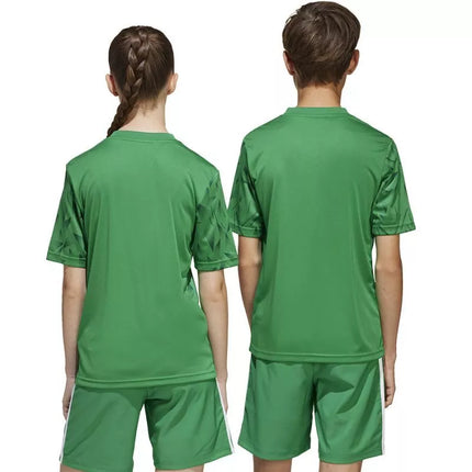 adidas Team Icon 25 JSY Jr JJ1956 Marškinėliai