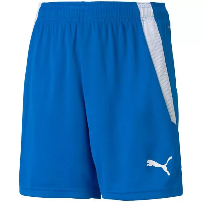 Puma teamLIGA Šortai Jr 704931 02