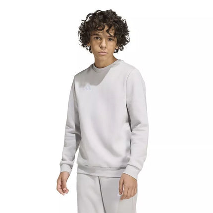 adidas Entrada 26 vaikiškas pilkas bliuzonas JZ6551