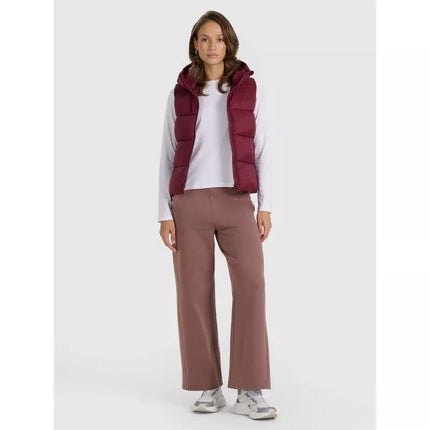 Women's down vest with synthetic filling 4F 4FRAW25TVJAF326-60S