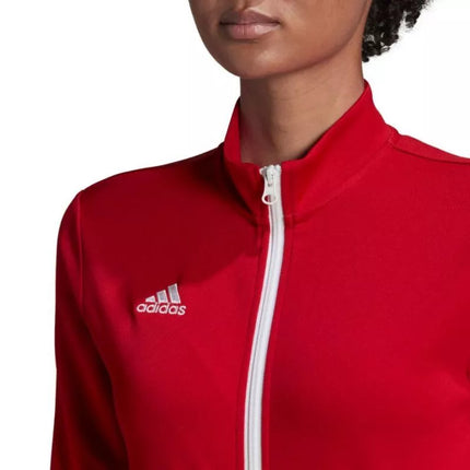 Adidas Entrada 22 Treneris W H57562 džemperis