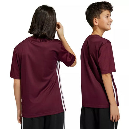 adidas Stalo 23 marškiniai Jr IB4933
