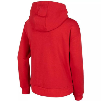 Džemperis 4F Jr HJZ22-JBLM006 62S