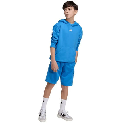adidas Essentials Hoodie for kids blue KD3382