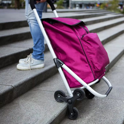 Ekspertinė Premium 604353 Pirkinių Vežimėlis