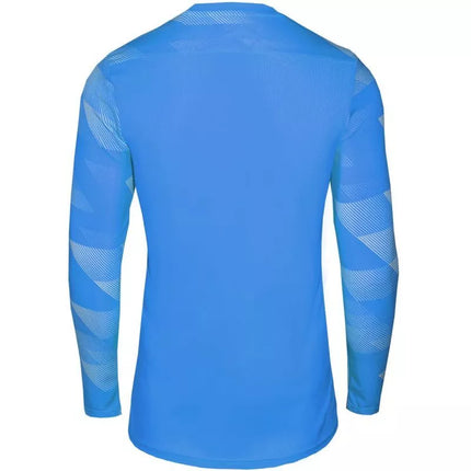 Nike Dry Park IV JSY LS GK Jr CJ6072-463
