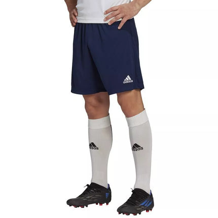 Adidas Entrada 22 treniruočių šortai M H57488