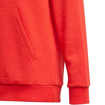 Adidas Essentials Big Logo Hoodie Jr GN4037 džemperis