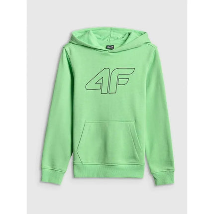 Boy's regular hooded sweatshirt 4F 4FJRSS26TSWSM2748-41S
