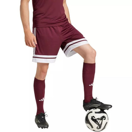 adidas Squadra 25 M JC8677 šortai