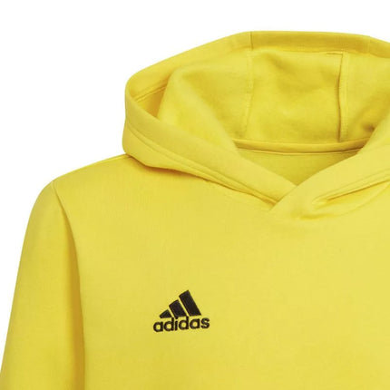 Adidas Entrada 22 Hoody Y Jr džemperis HI2142