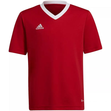 Adidas Entrada 22 Jsy Jr Marškinėliai H57496