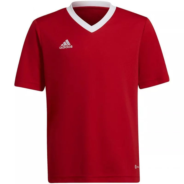 Adidas Entrada 22 Jsy Jr Marškinėliai H57496
