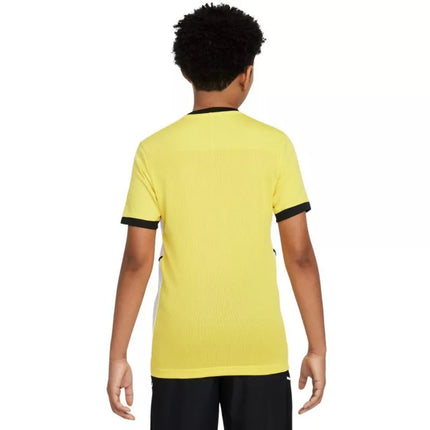 Nike Dri-Fit Academy 25 SS Jr Marškinėliai FZ9758 719